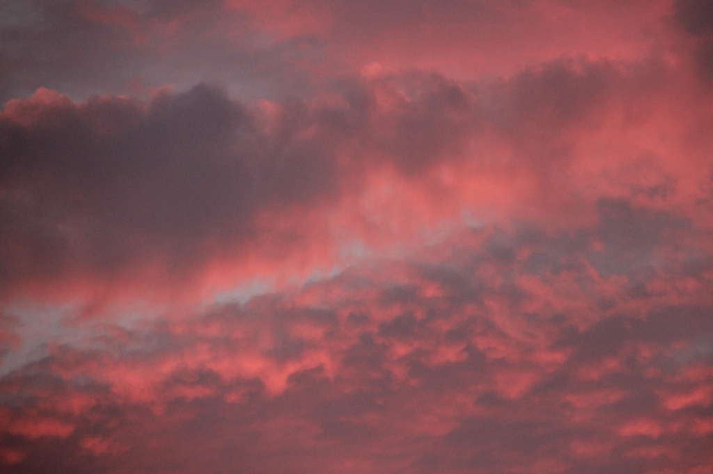 fluorescent color