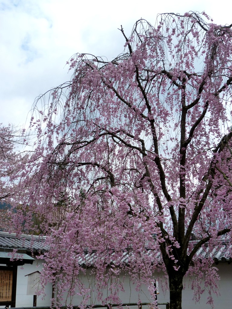 Daigo, Kyoto