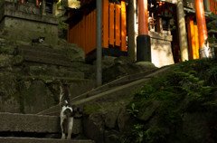 ねえ。