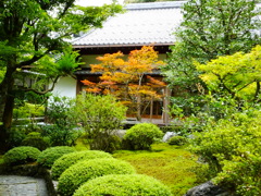 鈴虫寺