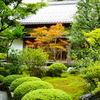 鈴虫寺