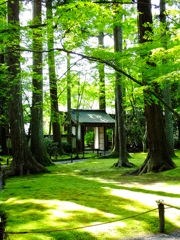 三千院・他