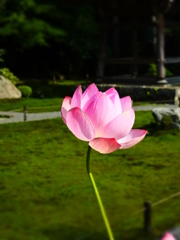 三千院・他