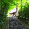 鈴虫寺