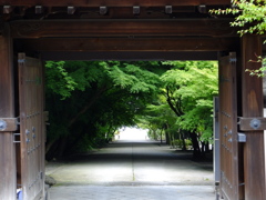 東福寺