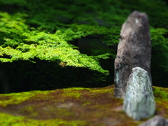 東福寺