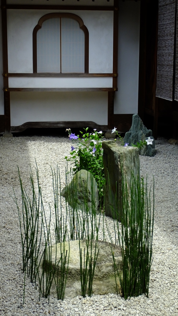 大徳寺・他