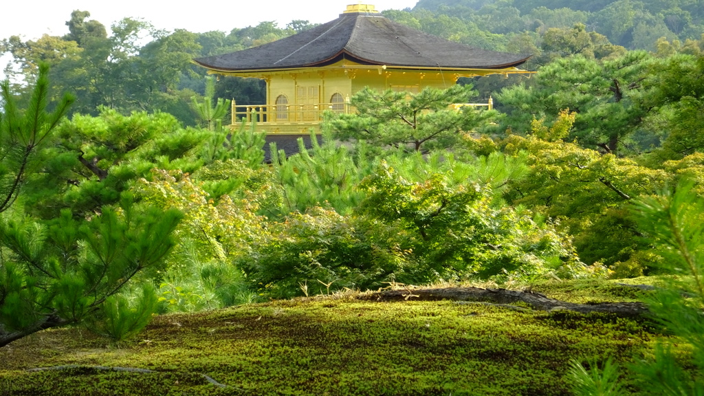 金閣寺