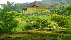 金閣寺