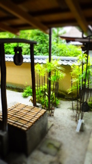 大徳寺・他