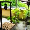 大徳寺・他