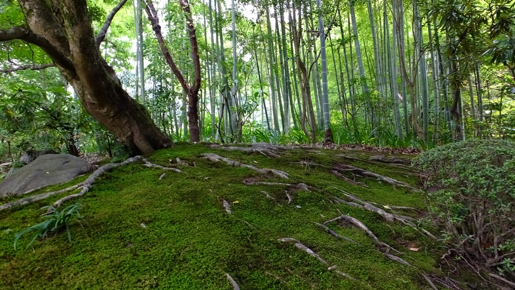 一乗寺周辺