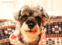 * My name is Luna. *