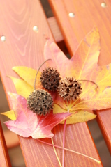 * 2014 Autumn story  The end. *