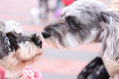 * It is happy ❤ to meet you. *