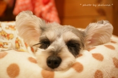 * Good nighit. *