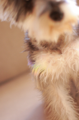 * Rainbow 2 *