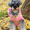 * 2014 Autumn story  Episode4 *