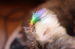* Rainbow *