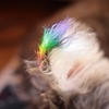 * Rainbow *