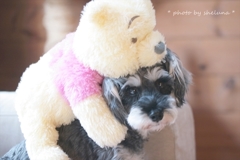 * Love pooooo❤ *
