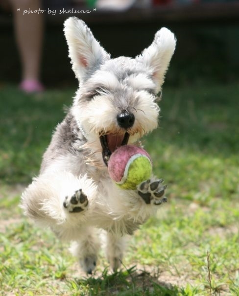 * catch *