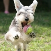* catch *
