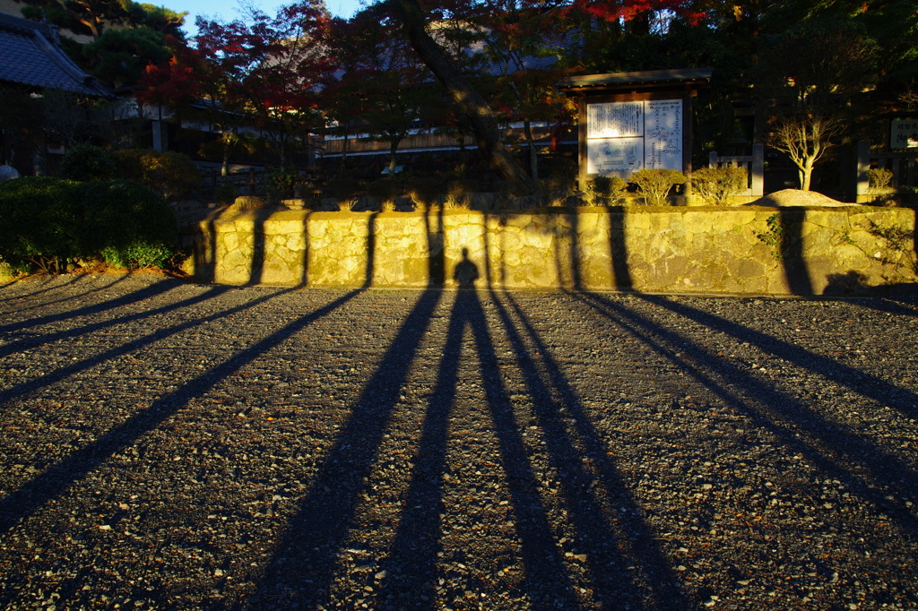 足長お兄さん