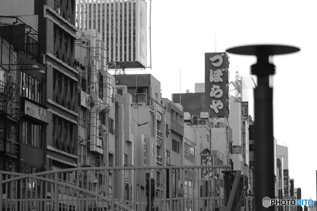 寒空フライ