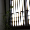 IMG_0001-1