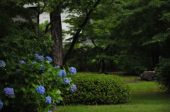 お寺にて
