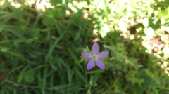 20140614_104753_Android