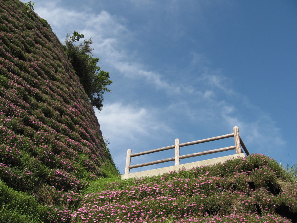 花が丘