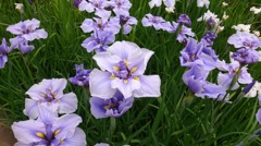 20140603_074058_Android