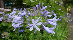 20140623_173841_Android