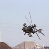 陸上自衛隊　AH-64D