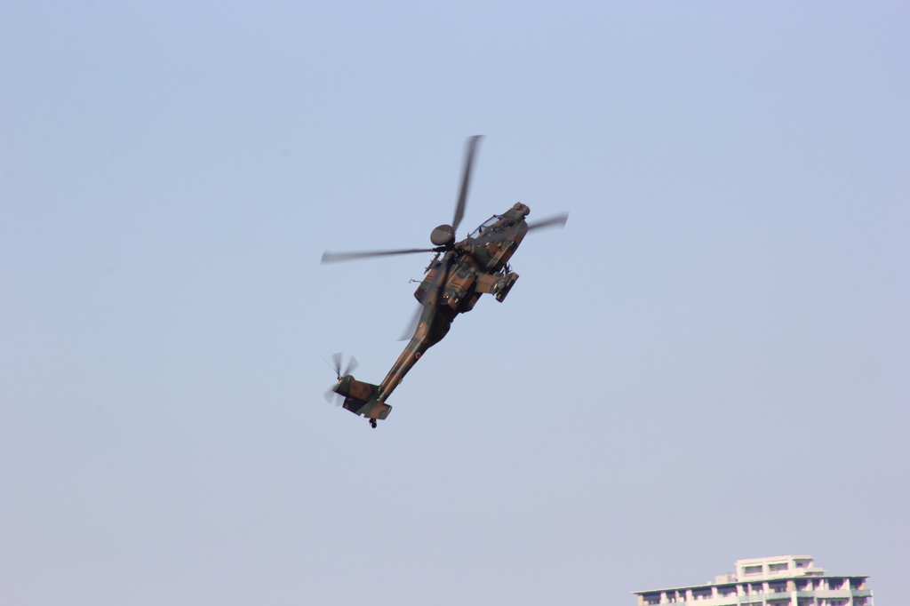 陸上自衛隊　AH-64D