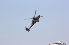 陸上自衛隊　AH-64D
