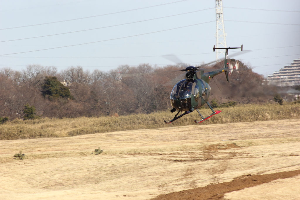 陸上自衛隊　OH-6D