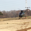 陸上自衛隊　OH-6D