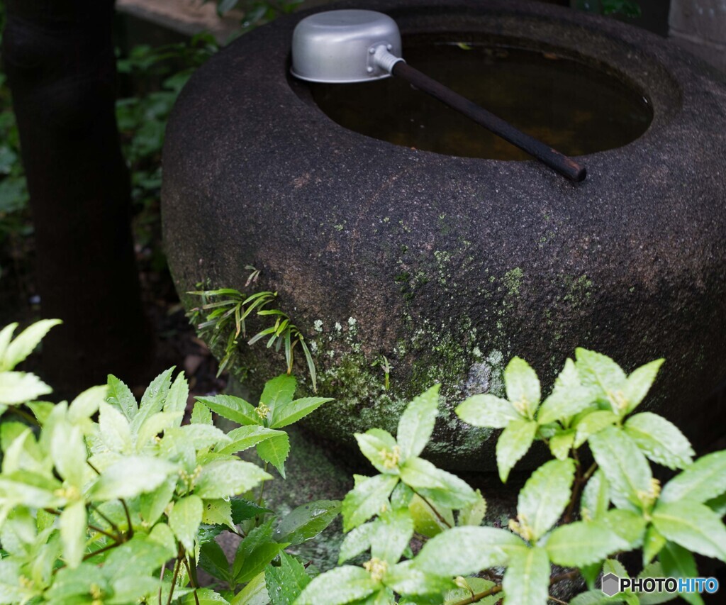 恵みの雨