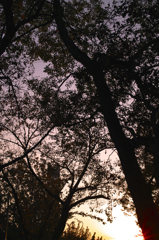 SDIM0127