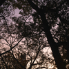 SDIM0127