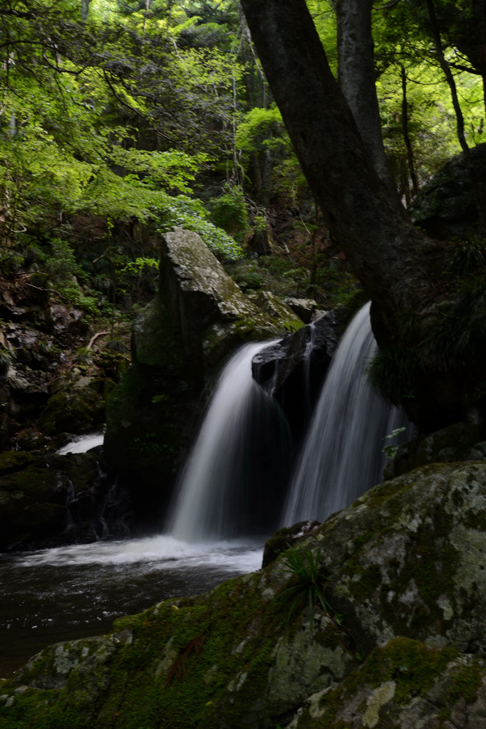 滝と渓谷　滝川渓谷