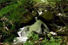 滝と渓谷　渡る