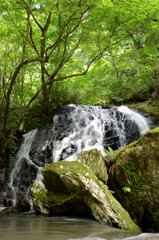 滝と渓谷  江竜田川（そうめんの滝）