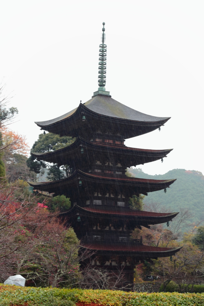 雨の瑠璃光寺2