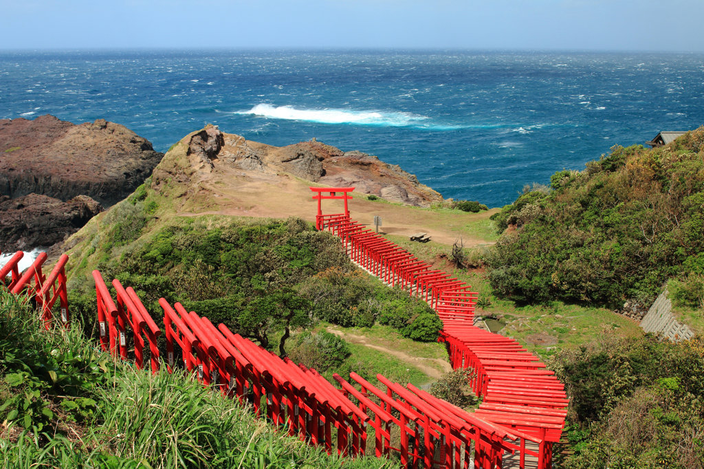 海へと続く鳥居の道