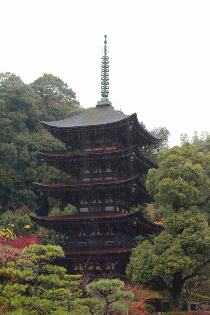 雨の瑠璃光寺1