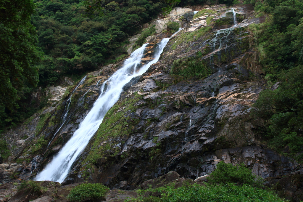 屋久島　大川の滝